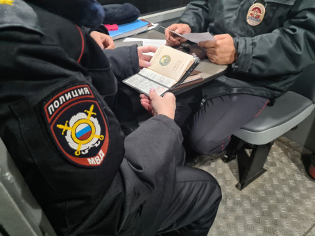 В московском Шереметьево масштабная полицейская облава