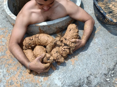 Юноша нашел странное нечто в грязи: финал вышел чудесным