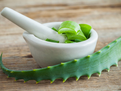 Алоэ: чем оно может быть опасно для здоровья