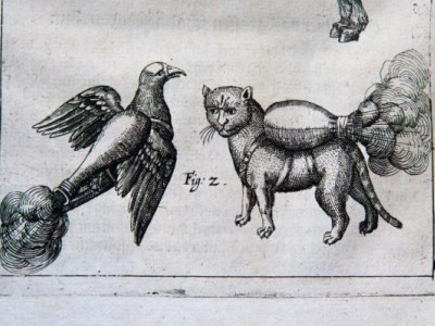 Как использовали кошек в средневековье: ответ удивит
