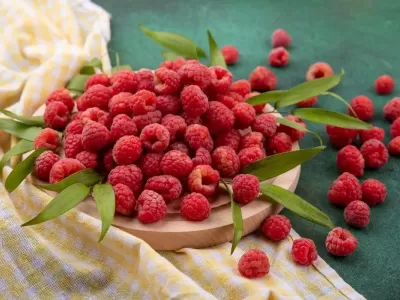 Чем полезна и вредна малина для здоровья человека