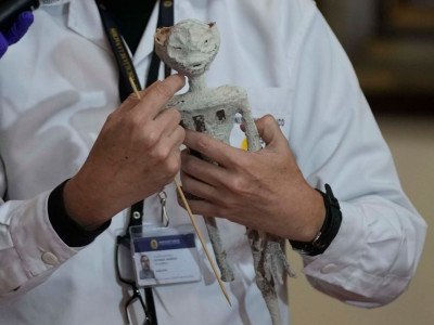 Ученые определили, кем был инопланетянин, найденный в пустыне