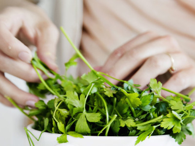 Польза и вред петрушки: кому ее категорически нельзя