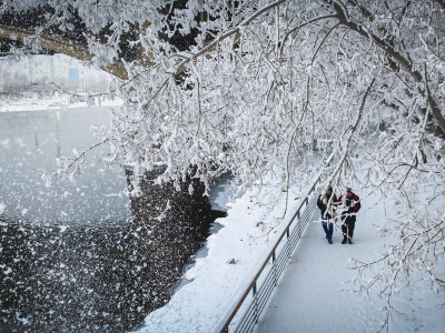 «Декабрь будет абсолютно аномальным»: обновленный прогноз