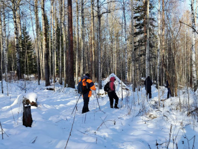Что только сейчас обнаружили в тайнике Усольцевых