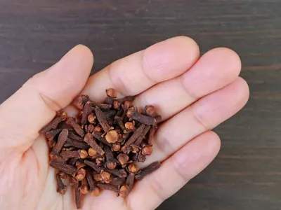 Что будет с организмом, если жевать сушеную гвоздику ежедневно