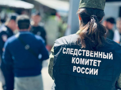 Бастрыкин занялся делом о женщине, захватившей деревню в РФ