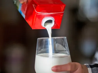 Работница молокозавода выдала правду о магазинном молоке