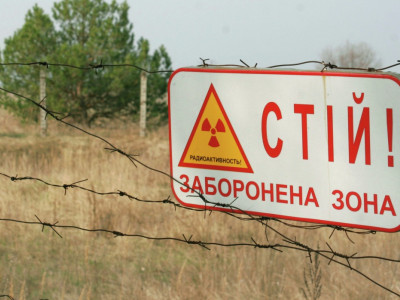 Есть ли мутанты в Чернобыле: учёный ответил прямо