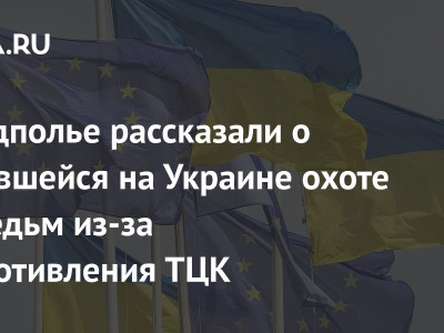 В подполье рассказали о начавшейся на Украине охоте на ведьм из-за сопротивления ТЦК
