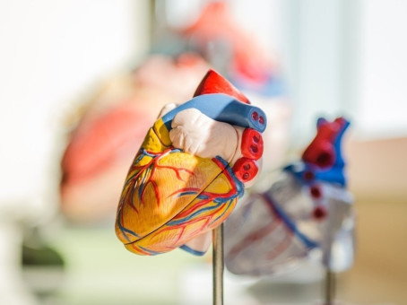 Найдено вкусное лекарство от инфаркта