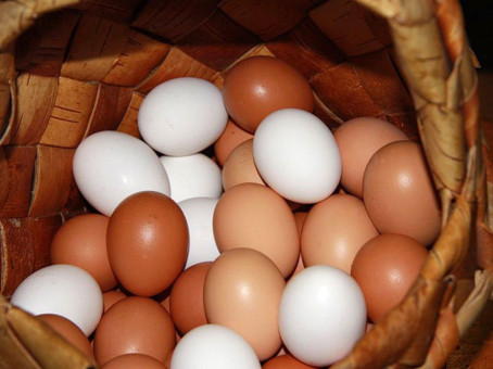 Лечебная сила обычного яйца: самое доступное лекарство