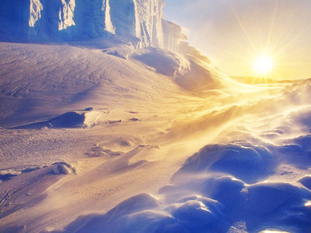 В Антарктиде нашли останки крупнейшего монстра на планете