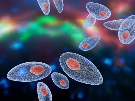 4 опаснейших паразитов, затаившихся в вашей еде