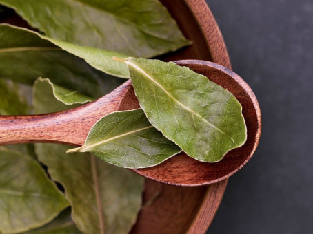 Обычный лавровый лист творит чудеса, если его поджечь