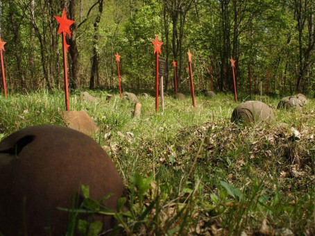 Люди блуждали по лесу и наткнулись на трубы: увиденное напугало