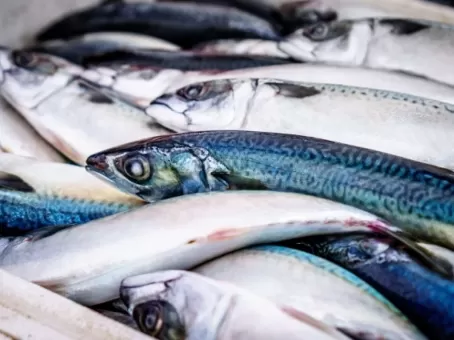 Смертельно опасно: никогда не ешьте и не покупайте эту рыбу