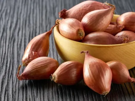 Невероятные свойства обычного лука