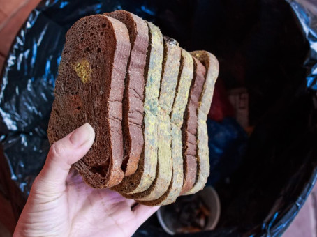 Что будет с организмом человека, перекусившего хлебом с плесенью