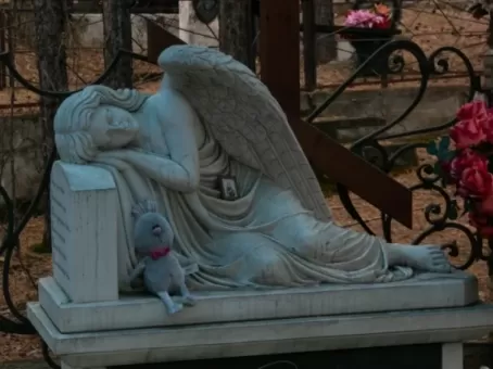 Как не следует себя вести на кладбище