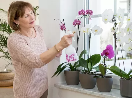 Никогда не держите орхидею дома: есть причина