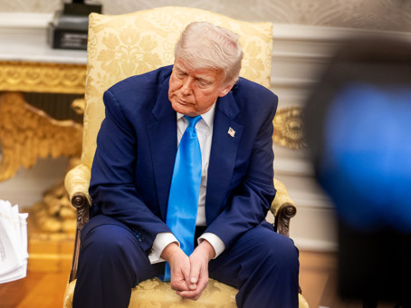 Трамп не учёл главного: Россия — не Сектор Газа
