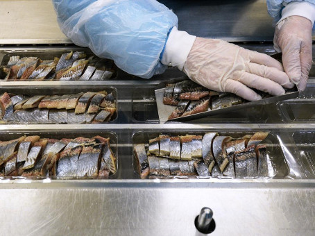 Самая опасная селедка, которую нельзя подавать на стол