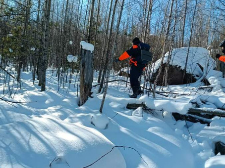Искавшие Усольцевых дроны находили светящиеся точки в тайге