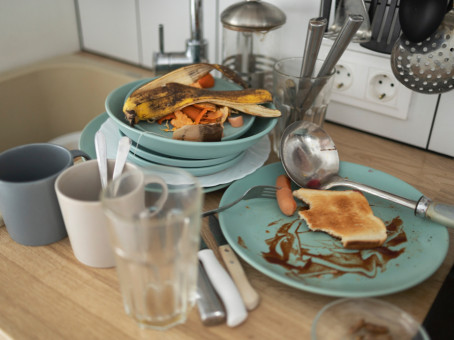 Почему нельзя оставлять грязную посуду на ночь: стоит запомнить