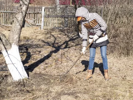 Россиянам объяснили, когда начинать подготовку к дачному сезону