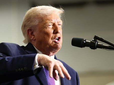 В США сообщили об обращении Трампа за помощью к Путину