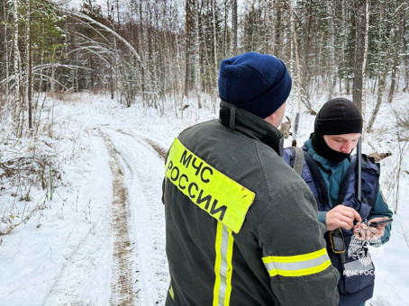 Новый исчезнувший в тайге по сценарию Усольцевых: что известно
