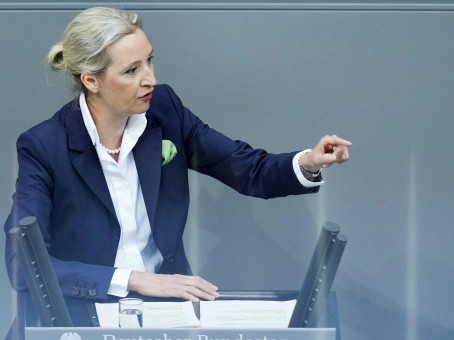 В ФРГ раскрыли скрываемую Западом горькую реальность