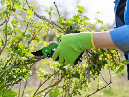 Дачников предупредили о роковой весенней ошибке
