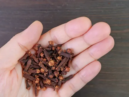 Что будет с организмом, если жевать сушеную гвоздику ежедневно