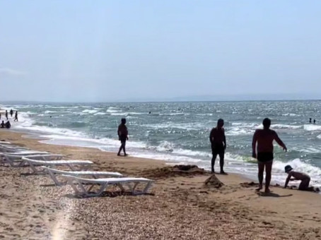 Акула выскочила на пляж Анапы: что было дальше