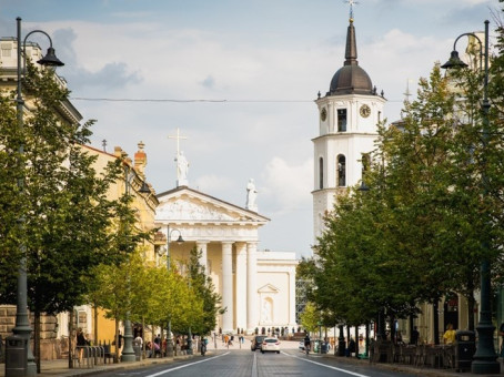 Мэр Вильнюса бьет тревогу: кто массово заселяет столицу Литвы