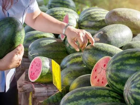 Всего один малоизвестный признак выдаст самый спелый арбуз