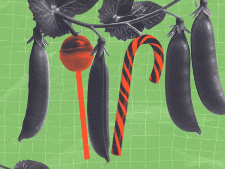 Как похудеть, если я уже и так отказалась от хлеба и сладкого, но вес стоит? Отвечают врачи