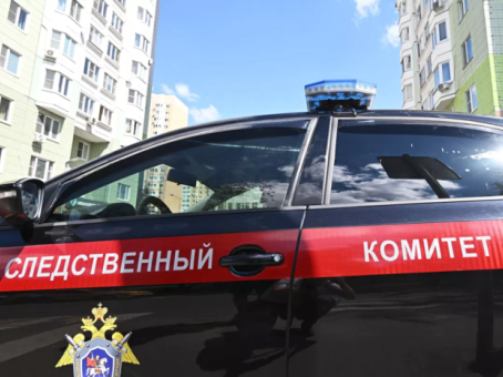Источник: внучка экс-мэра Самары хотела сгенерировать голоса убитых близких