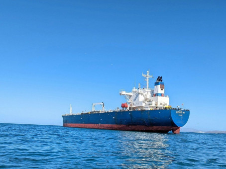 Россия призвала Индию освободить моряков с арестованного судна