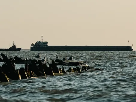 МИД Болгарии срочно вызвал посла России из-за атак дронов в Черном море