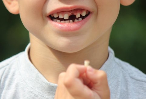 Почему не нужно выбрасывать детские молочные зубы