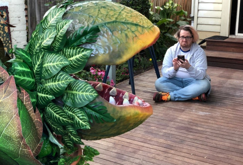С этим растением в дом приходят болезни и смерть