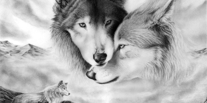 Притча про 2 волков: запоминается на всю жизнь