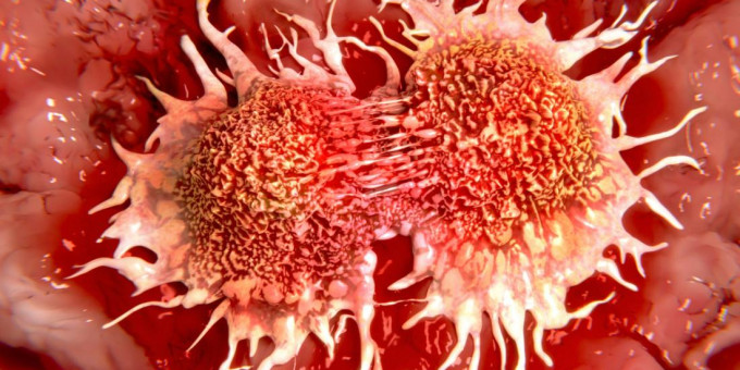 Вот откуда в теле берутся опухоли