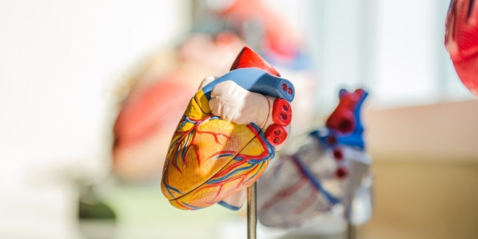 Найдено вкусное лекарство от инфаркта