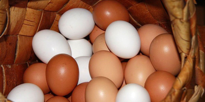 Лечебная сила обычного яйца: самое доступное лекарство