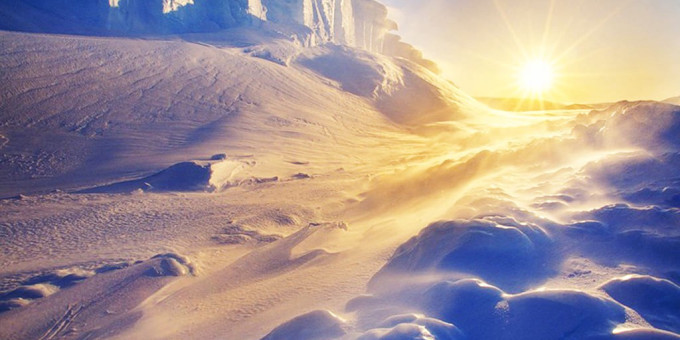 В Антарктиде нашли останки крупнейшего монстра на планете