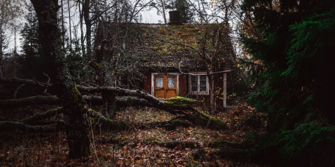 Женщина вот уже 18 лет живет в лесу в полном одиночестве